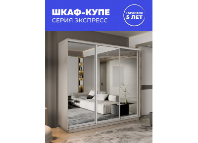 Шкаф-купе Экспенс, 240х45х220 45EEKT_240_KH