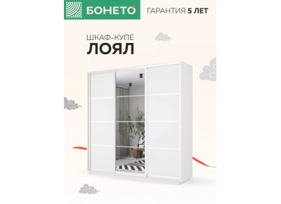 Шкаф-купе Лоял 3дв.- ДСП/Зеркало/ДСП, LoyalDZD_210_B